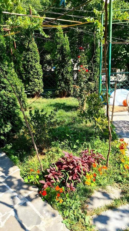 Guest House Casa Borjomi Dış mekan fotoğraf